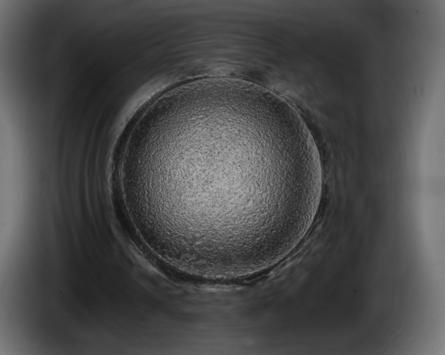 X0000085060242200703051445