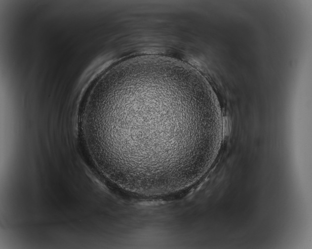 X0000085060243200703051445