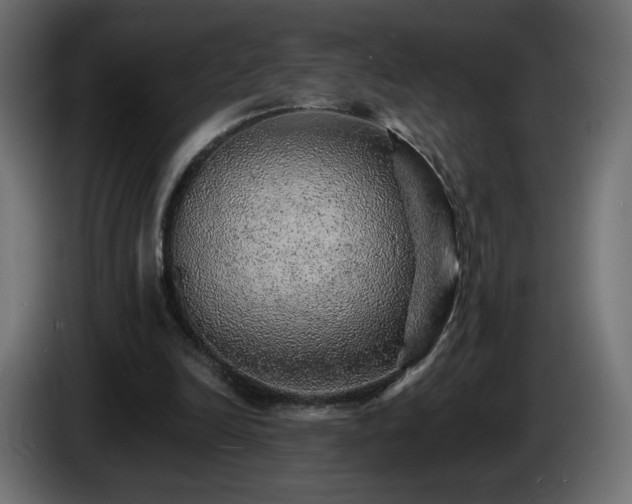 X0000085060246200703051445