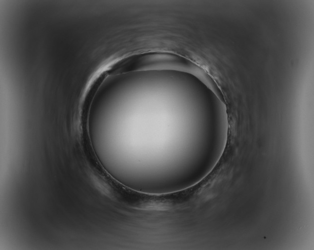X0000085060248200703051445