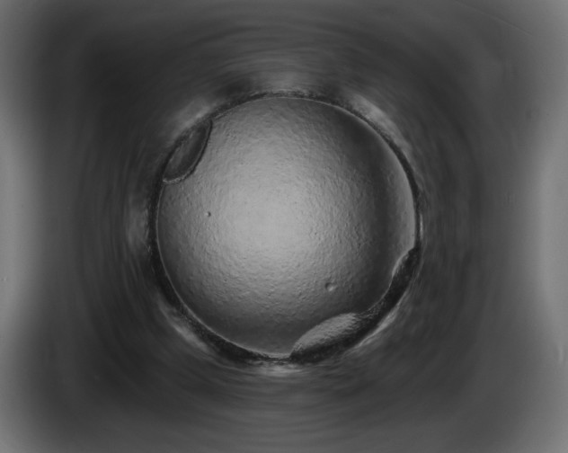X0000085060249200703051445