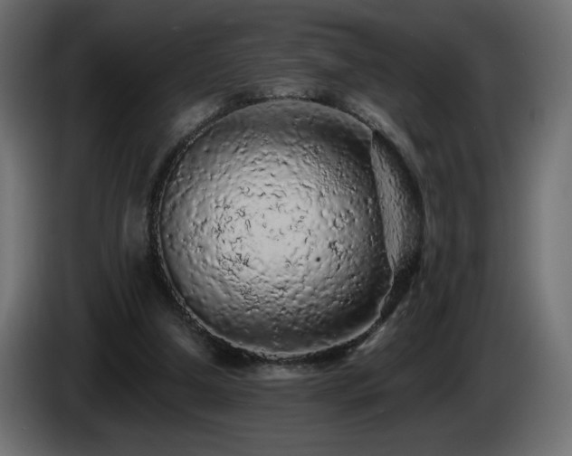 X0000085060250200703051445