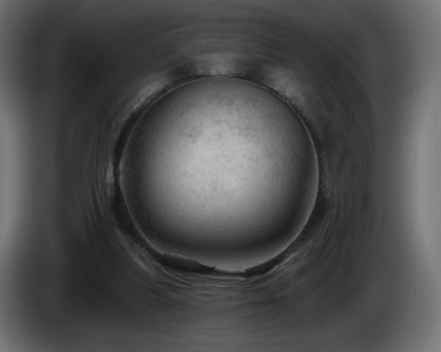 X0000085060251200703051445