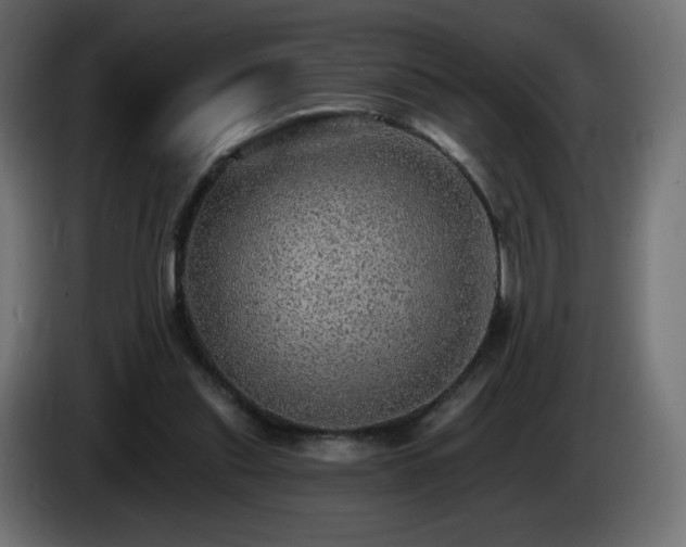 X0000085060253200703051445