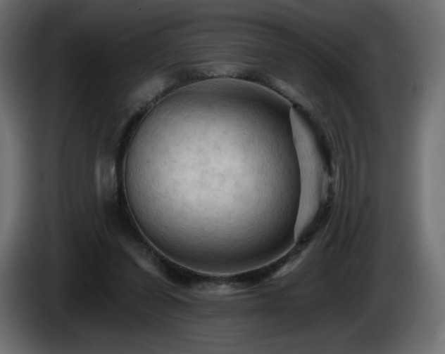 X0000085060254200703051445