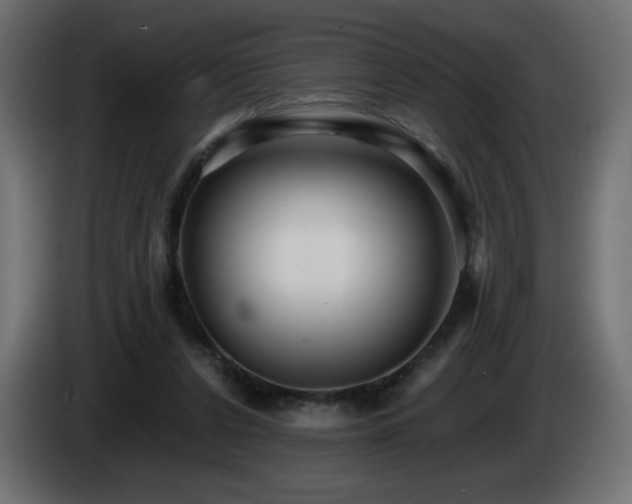 X0000085060256200703051445