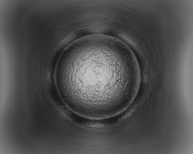 X0000085060258200703051445