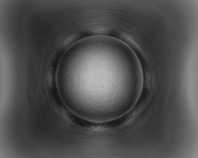 X0000085060259200703051445