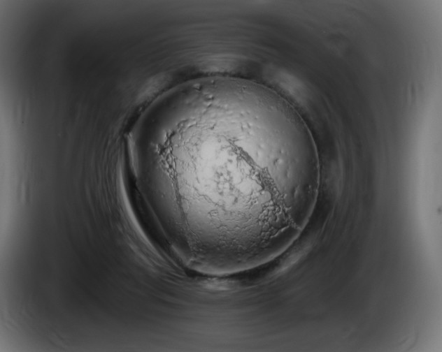X0000085060261200703051445