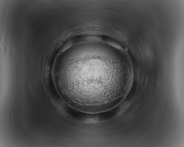 X0000085060263200703051445