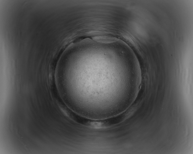 X0000085060265200703051445