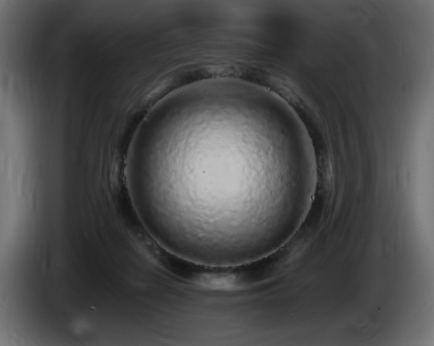 X0000085060266200703051445