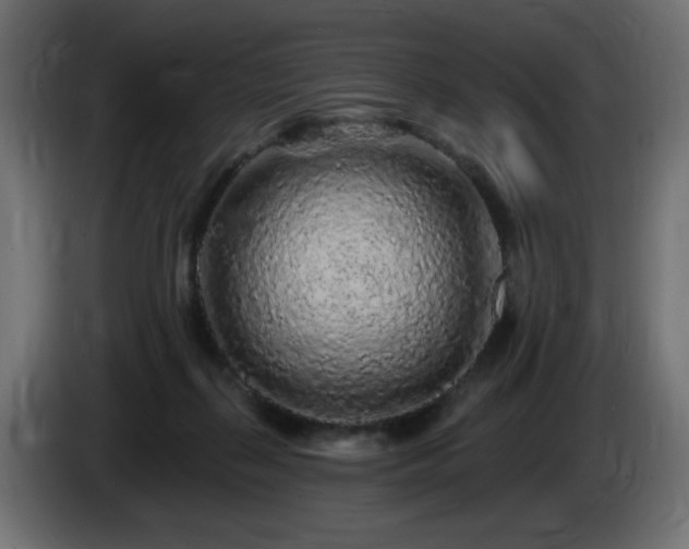 X0000085060267200703051445