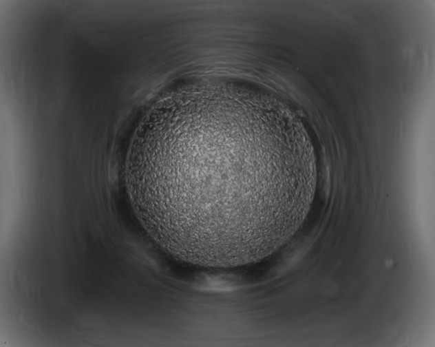 X0000085060268200703051445