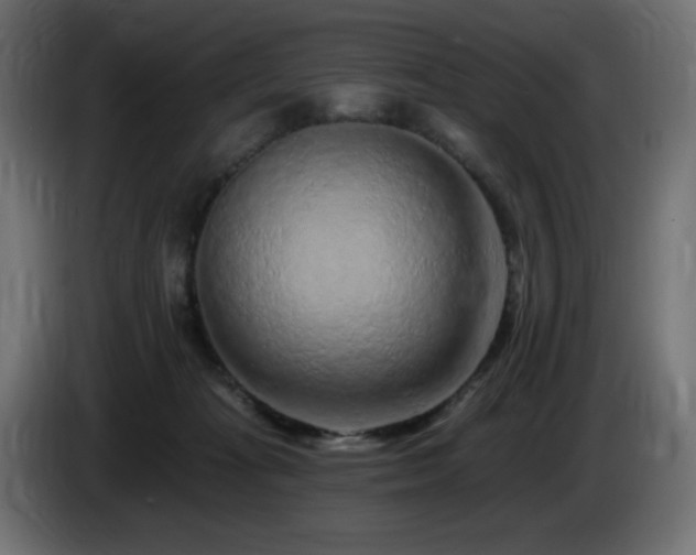 X0000085060269200703051445