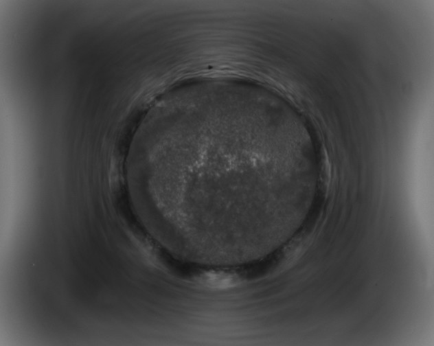 X0000085060272200703051445