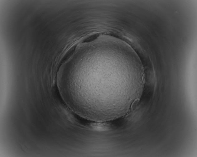 X0000085060273200703051445