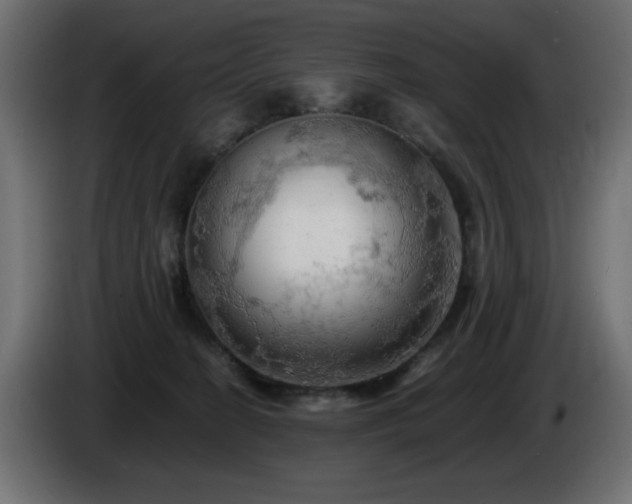 X0000085060274200703051445
