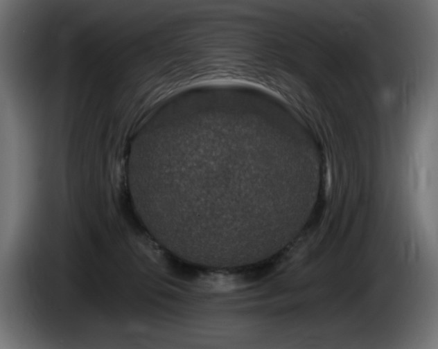 X0000085060276200703051445