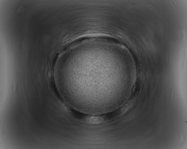 X0000085060277200703051445
