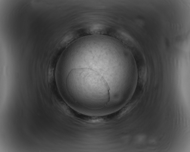 X0000085060278200703051445