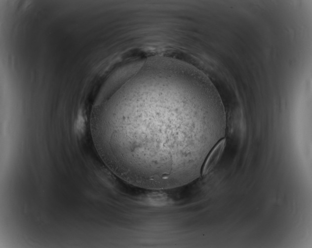 X0000085060279200703051445