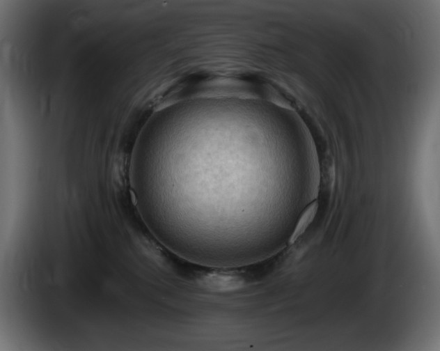 X0000085060280200703051445