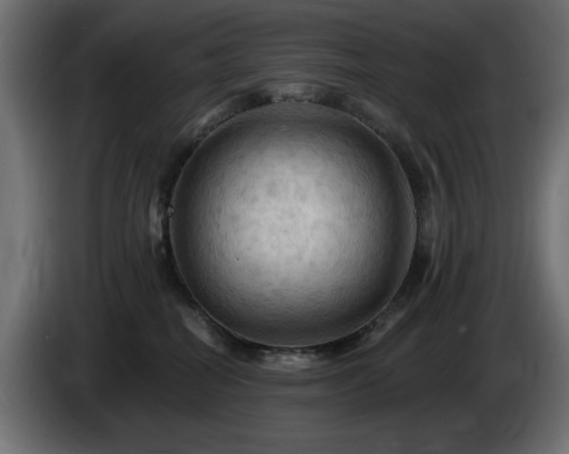 X0000085060282200703051445