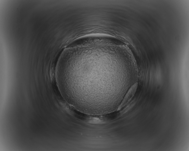 X0000085060285200703051445