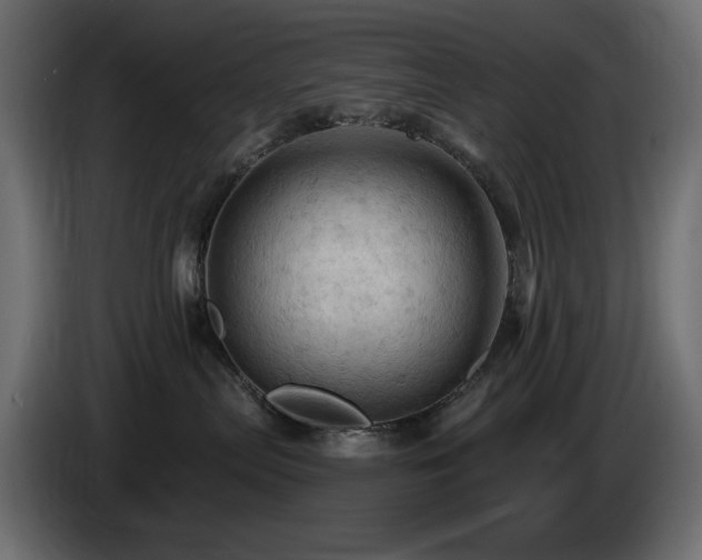X0000085060287200703051446