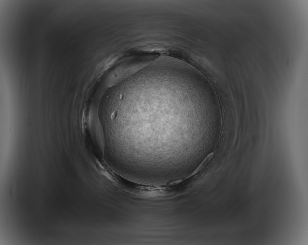 X0000085060288200703051446