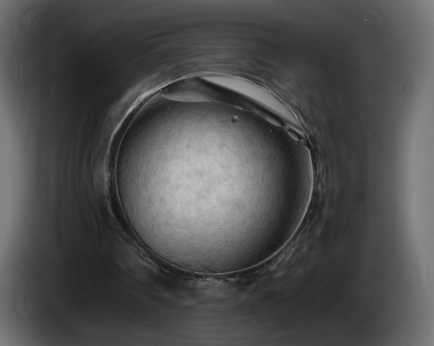 X0000085060290200703051445