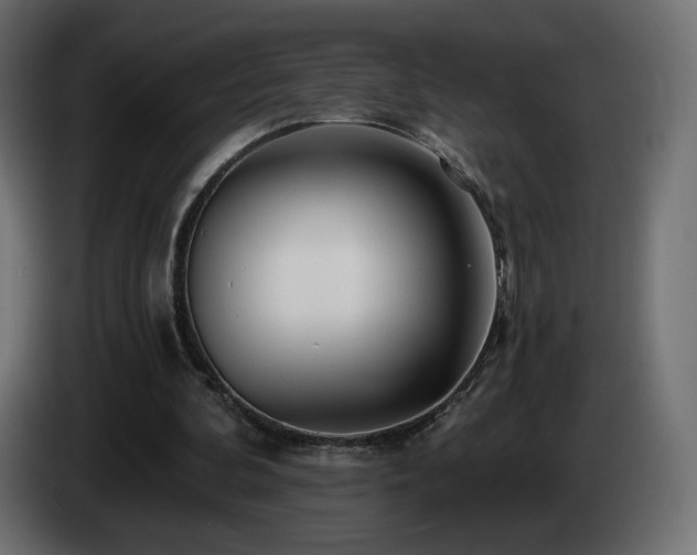X0000085060292200703051445