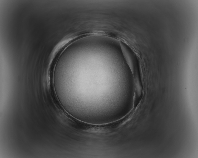 X0000085060294200703051445