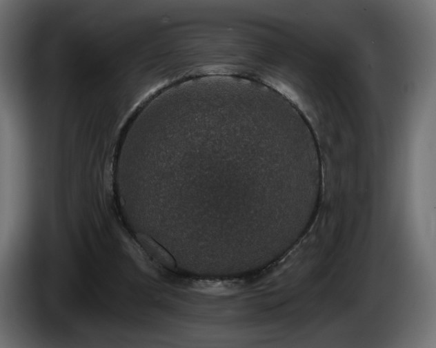 X0000085060297200703051445