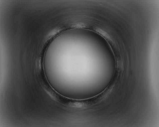 X0000085060302200703051445