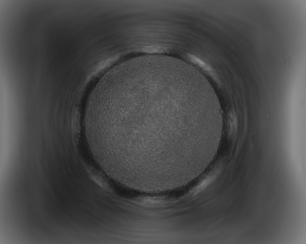 X0000085060303200703051445