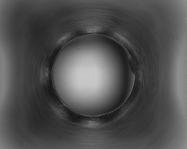 X0000085060308200703051445