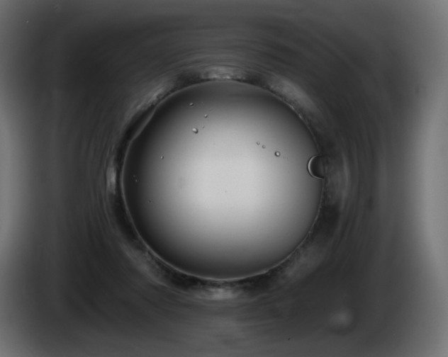 X0000085060310200703051445