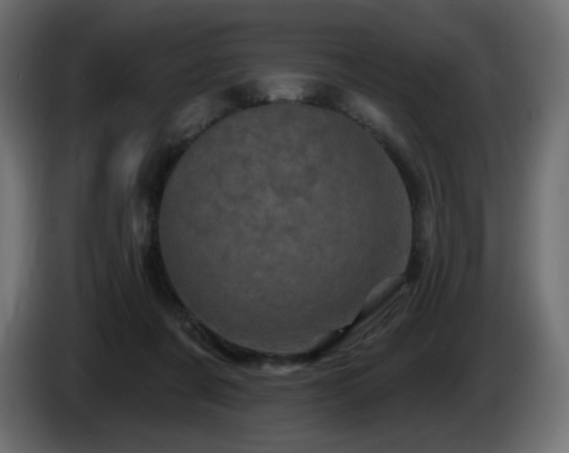 X0000085060311200703051445