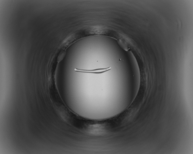 X0000085060312200703051445