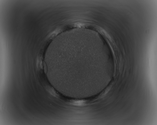 X0000085060313200703051445