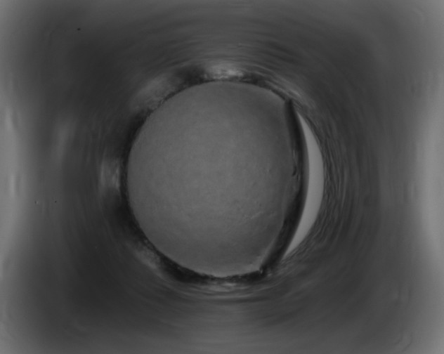 X0000085060315200703051444