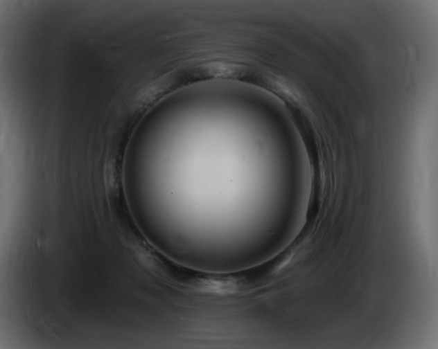 X0000085060317200703051444