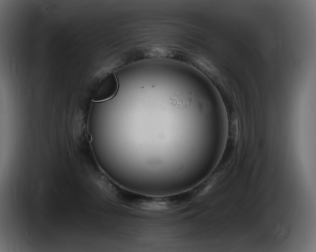 X0000085060318200703051444