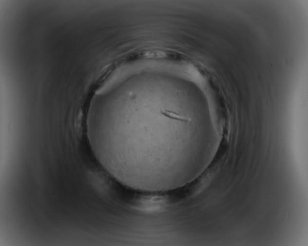 X0000085060319200703051444