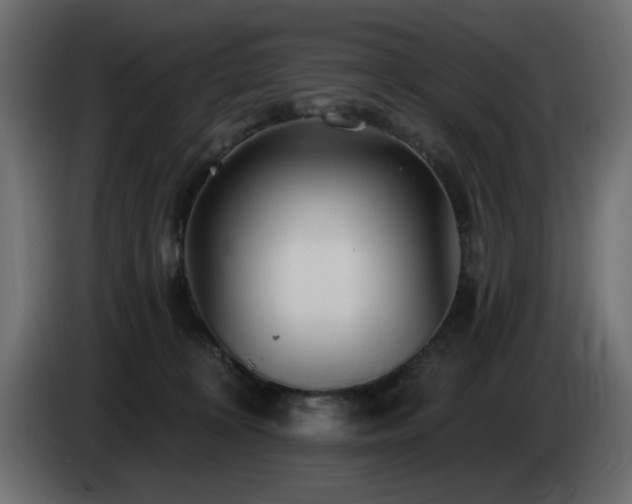X0000085060324200703051444