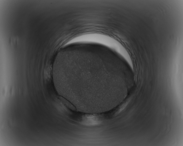 X0000085060325200703051444