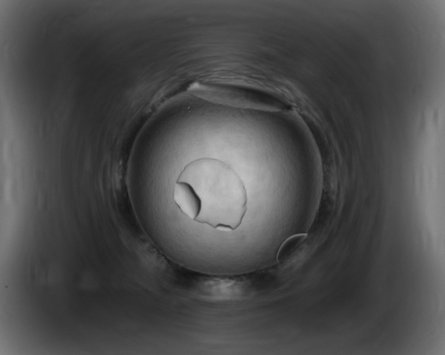 X0000085060326200703051444