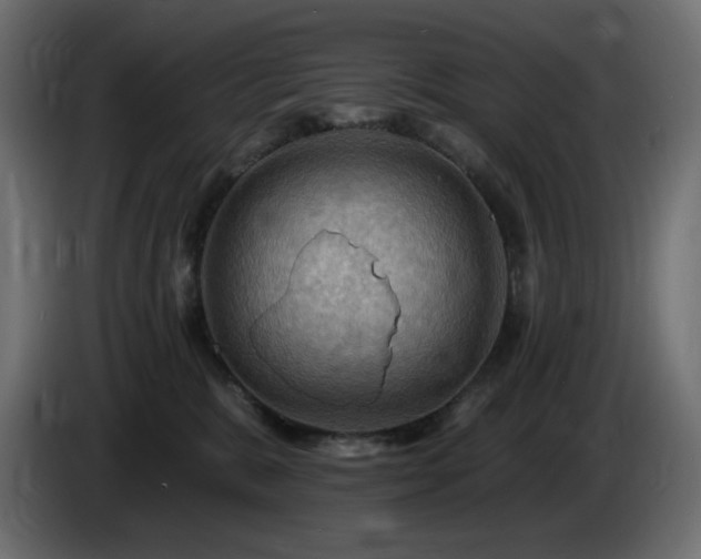 X0000085060327200703051444